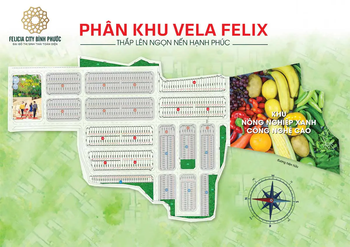 Mặt bằng phân khu Vela Felix Dự án Felicia City Bình Phước