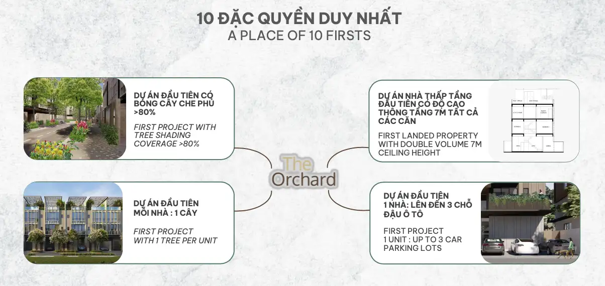 Sycamore Bình Dương